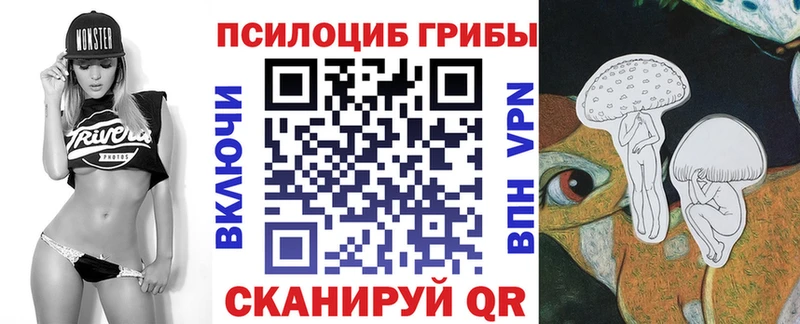 купить   Калач-на-Дону  kraken маркетплейс  Галлюциногенные грибы прущие грибы 