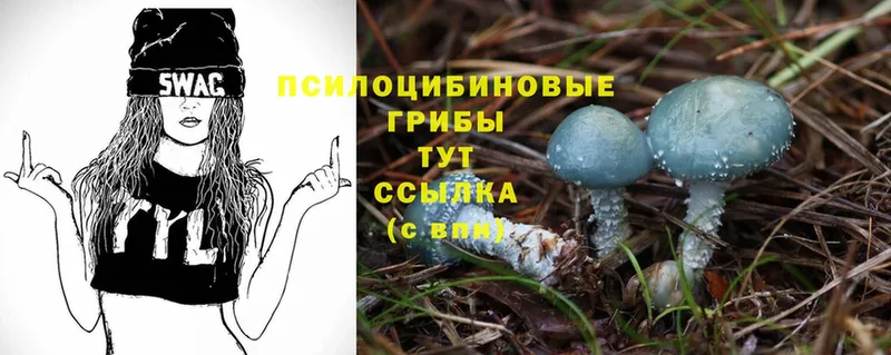 Псилоцибиновые грибы MAGIC MUSHROOMS  мега ТОР  Калач-на-Дону 