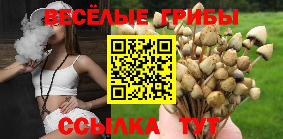 Псилоцибиновые грибы Psilocybe Калач-на-Дону