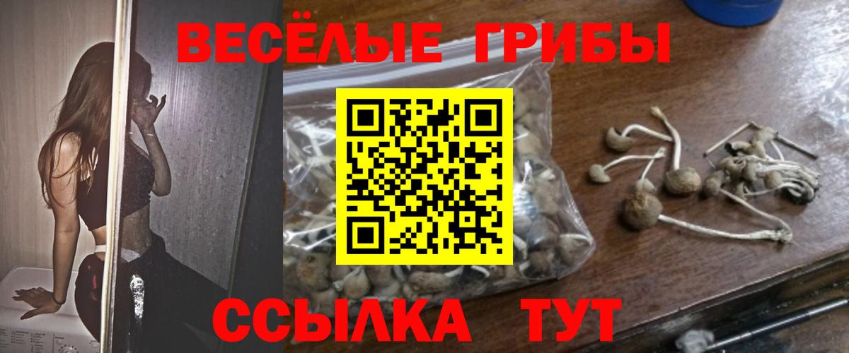 Псилоцибиновые грибы Psilocybine cubensis  Калач-на-Дону 