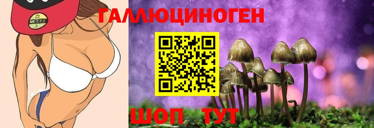 Псилоцибиновые грибы Cubensis Калач-на-Дону