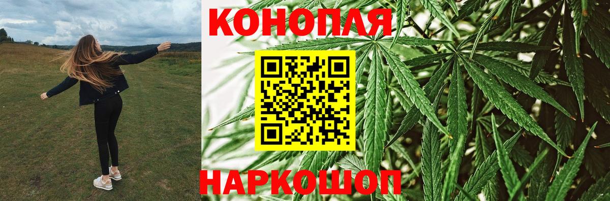 Шишки марихуана Amnesia  Бошки марихуана планчик  Конопля OG Kush  Вход с VPN  Марихуана тримм  Калач-на-Дону 